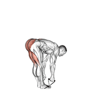 Тяга с резинкой на прямых ногах (прямые ноги)