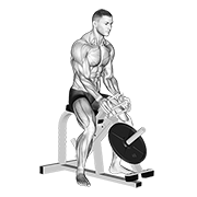 Эспандер руками в рычажном тренажёре